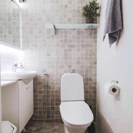 Spacious Alpine Flat In Center Of Levi! Levi