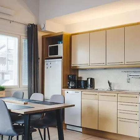 Σπίτι διακοπών Spacious Alpine Flat In Center Of Levi! *